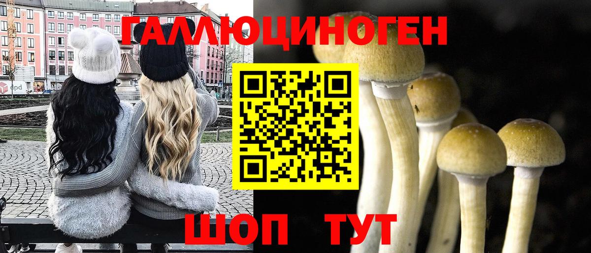 Псилоцибиновые грибы мухоморы Семёнов