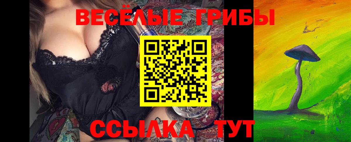 Псилоцибиновые грибы мицелий  Вход с VPN  Галлюциногенные грибы GOLDEN TEACHER  Семёнов 